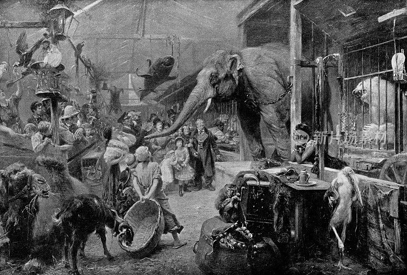 动物园/外来动物展览，保罗・弗里德里希・梅尔海姆绘画- 19世纪